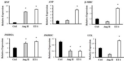 The Histone Demethylase JMJD2A Modulates the Induction of Hypertrophy Markers in iPSC-Derived Cardiomyocytes